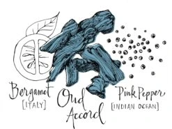 Atelier Cologne Oud Saphir -Parfum Cosmétique atelier cologne oud saphir eau de parfum mixte 5