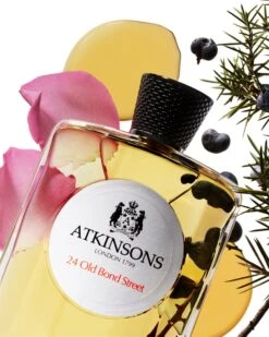 Atkinsons Iconic 24 Old Bond Street -Parfum Cosmétique atkinsons iconic 24 old bond street eau de cologne mixte 2