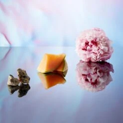 Banderas Blue Seduction For Her -Parfum Cosmétique banderas blue seduction for her eau de toilette pour femme 4