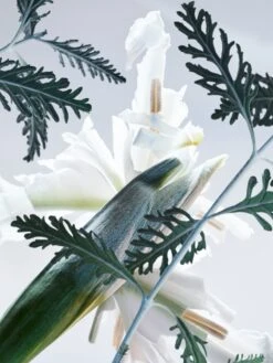 BULGARI Bvlgari Man Glacial Essence -Parfum Cosmétique bulgari bvlgari man glacial essence eau de parfum pour homme 3