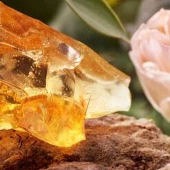 Chloé Chloé -Parfum Cosmétique chloe chloe eau de parfum pour femme 2