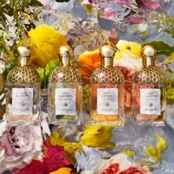 GUERLAIN Aqua Allegoria Nerolia Vetiver 15 GUERLAIN Aqua Allegoria Nerolia Vetiver -Parfum Cosmétique guerlain aqua allegoria nerolia vetiver eau de toilette rechargeable pour femme 6