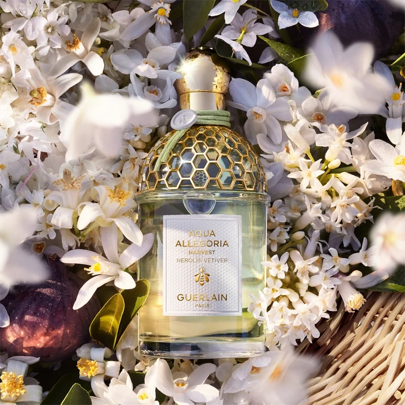 GUERLAIN Aqua Allegoria Nerolia Vetiver Harvest 5 GUERLAIN Aqua Allegoria Nerolia Vetiver Harvest – Image 3