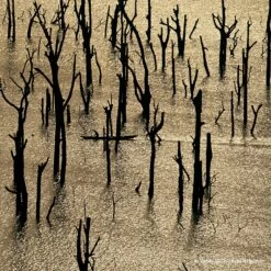 GUERLAIN Aqua Allegoria Rosa Rossa Forte -Parfum Cosmétique guerlain aqua allegoria rosa rossa forte eau de parfum rechargeable pour femme 4