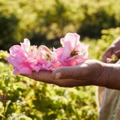 GUERLAIN Aqua Allegoria Rosa Rossa Harvest -Parfum Cosmétique guerlain aqua allegoria rosa rossa harvest eau de toilette pour femme edition limitee 4