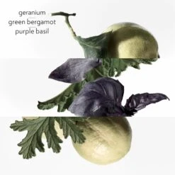 Hermès HERMÈS Colognes Collection Eau De Basilic Pourpre -Parfum Cosmétique hermes colognes collection eau de basilic pourpre eau de cologne mixte 2