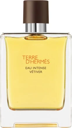 HERMÈS Terre D’Hermès Eau Intense Vétiver