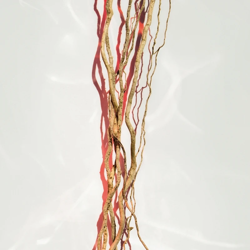 Hugo Boss BOSS Alive Parfum 7 Hugo Boss BOSS Alive Parfum – Image 5