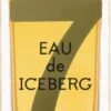 Iceberg Eau De Iceberg Amber -Parfum Cosmétique iceberg eau de iceberg amber eau de toilette pour homme 15