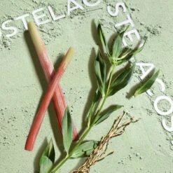 Lacoste Match Point Cologne -Parfum Cosmétique lacoste match point cologne eau de toilette pour homme 3