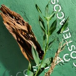 Lacoste Match Point Cologne -Parfum Cosmétique lacoste match point cologne eau de toilette pour homme 4