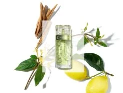 Lancome Lancôme Ô De Lancôme -Parfum Cosmétique lancome o de lancome eau de toilette pour femme 1