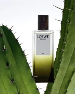 Loewe Esencia Elixir 7 Loewe Esencia Elixir -Parfum Cosmétique loewe esencia elixir parfum pour homme 2