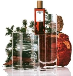 Loewe Solo Cedro -Parfum Cosmétique loewe solo cedro eau de toilette pour homme 2