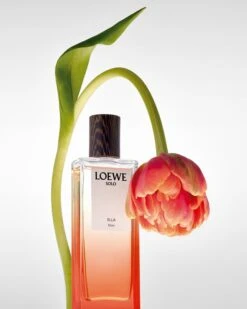 Loewe Solo Ella Elixir -Parfum Cosmétique loewe solo ella elixir parfum pour femme 2