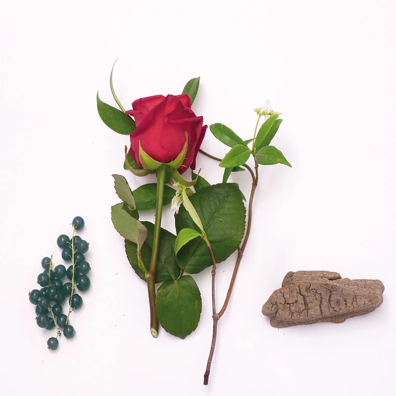 Mauboussin Elixir Pour Elle 5 Mauboussin Elixir Pour Elle – Image 3