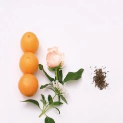 Mauboussin Mauboussin Homme -Parfum Cosmétique mauboussin mauboussin homme eau de parfum pour homme 1