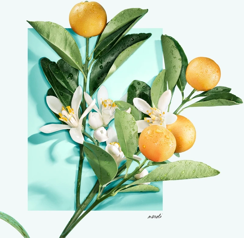 Tiffany & Co. Tiffany & Love 4 Tiffany & Co. Tiffany & Love – Image 3