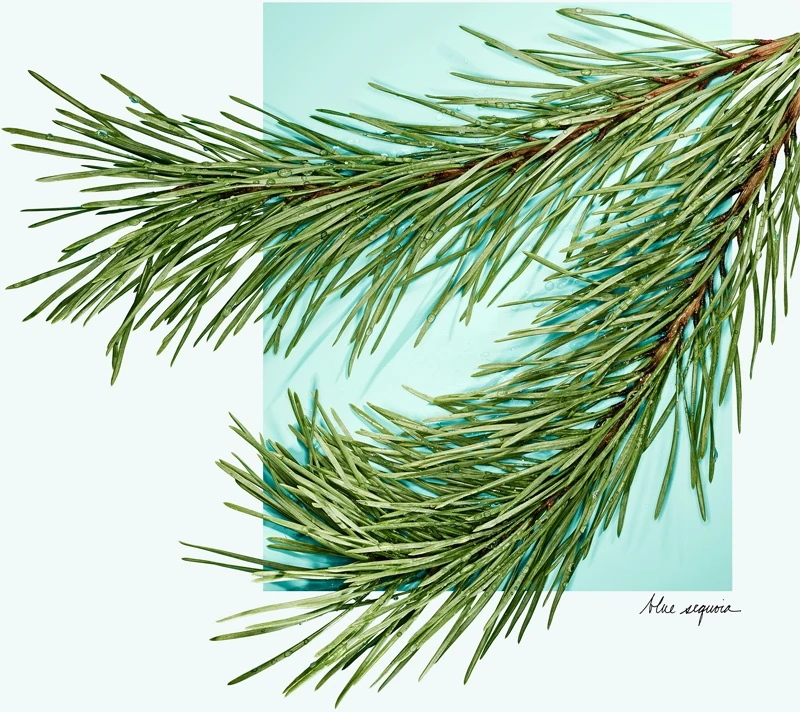 Tiffany & Co. Tiffany & Love 5 Tiffany & Co. Tiffany & Love – Image 4