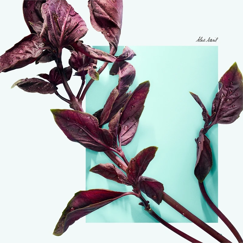 Tiffany & Co. Tiffany & Love 6 Tiffany & Co. Tiffany & Love – Image 5