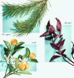 Tiffany & Co. Tiffany & Love 12 Tiffany & Co. Tiffany & Love -Parfum Cosmétique tiffany co tiffany love eau de parfum pour femme 5