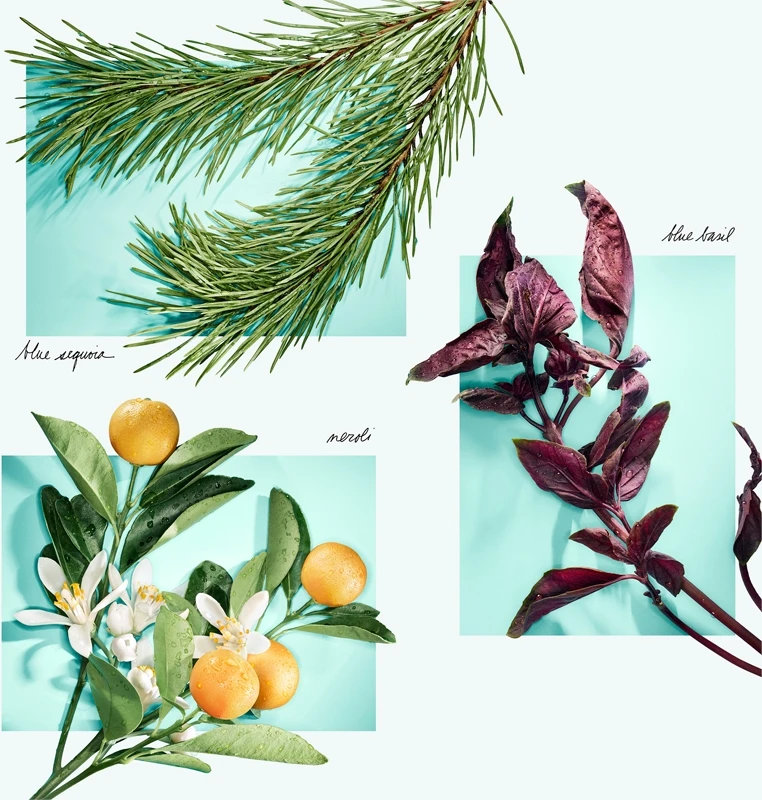 Tiffany & Co. Tiffany & Love 7 Tiffany & Co. Tiffany & Love – Image 6